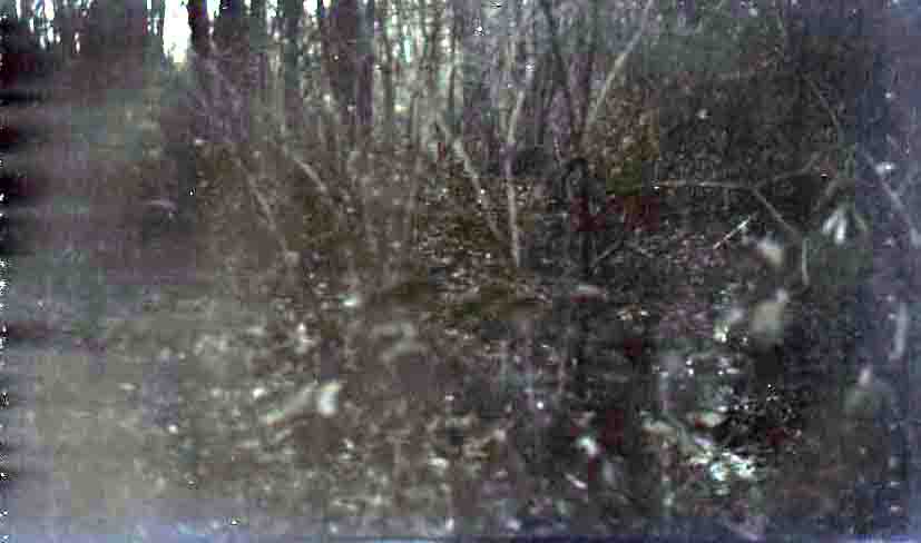 Mays ditch 1920s 1 (6)